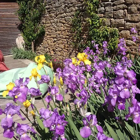 D'hotes La Pierrerie Laure-Minervois